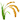 Gluten